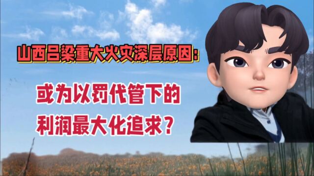 山西吕梁重大火灾:深层原因或为以罚代管下的利润最大化追求?