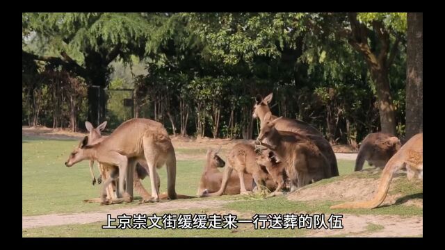 《出殡当天,她抱上寡夫皇叔的大腿》(顾九龄小说)全章节在线阅读