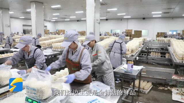 高质量发展调研行|家门口就业还能当工厂合伙人 “龙头企业+合作社+农户”助力乡村振兴