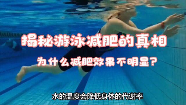 揭秘游泳减肥的真相!为什么减肥效果不明显?