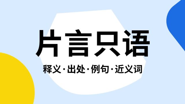 “片言只语”是什么意思?