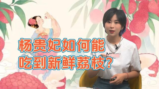 杨贵妃如何能吃到新鲜荔枝?