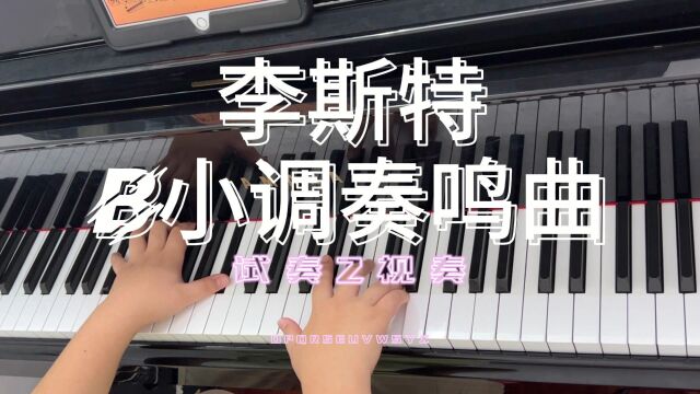 视奏李斯特《b小调奏鸣曲 》你弹完屁股麻不麻?