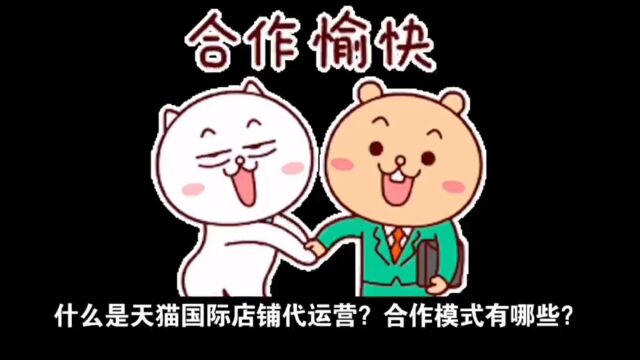 什么是天猫国际店铺代运营?合作模式有哪些?如何收费?手机Vx:13456737702