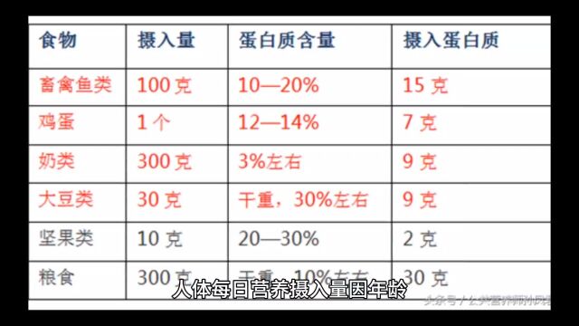 了解人体每日所需营养素摄入