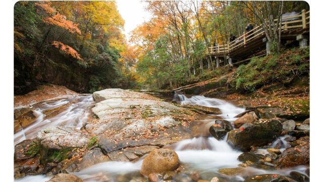 四川光雾山旅游