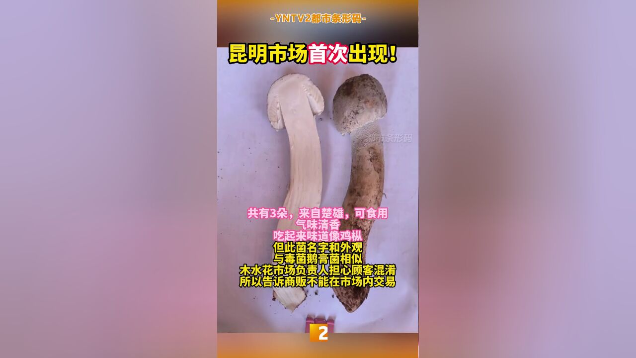 昆明市场首次出现!样本已寄往广州