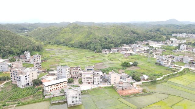 乡村行171广西玉林博白凤山镇