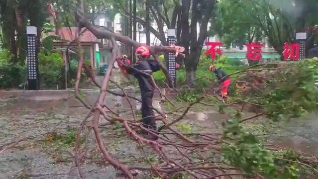 致敬!泉州:到处都有“逆行”救援的人!愿平安归来!