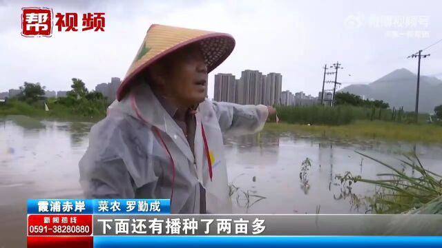 霞浦赤岸:暴雨致200多亩农田受灾,村民发起自救!