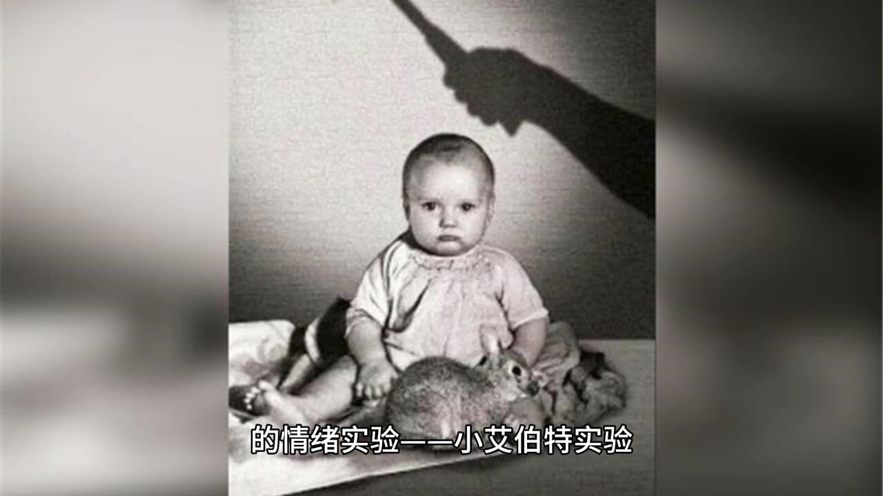 口袋心理学小课堂—华生的行为主义和实验