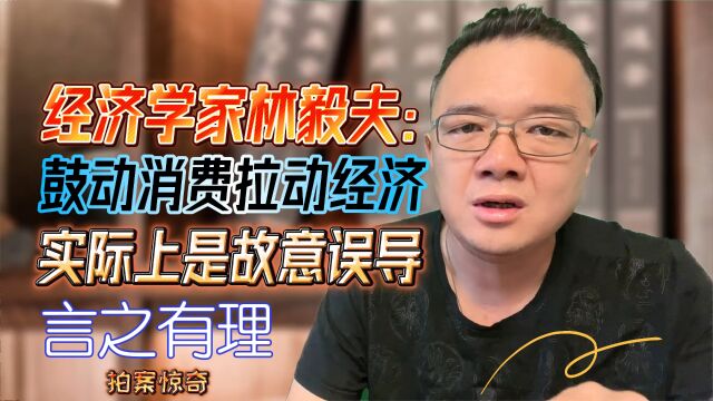 经济学家林毅夫:鼓动消费拉动经济增长实际上是故意误导中国