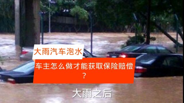 连降大雨泡水车增多,车主损失保险公司都赔吗?