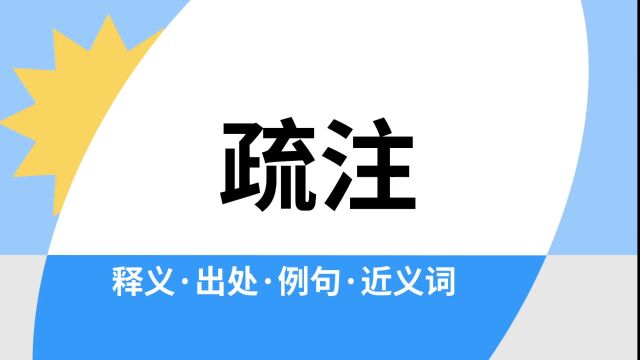 “疏注”是什么意思?