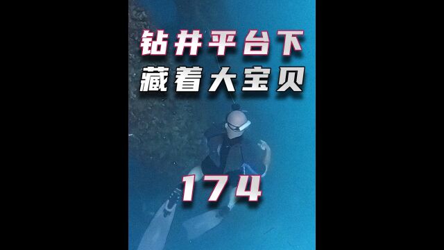 钻井平台下藏着大宝贝,猎鱼一小时收获好几万!