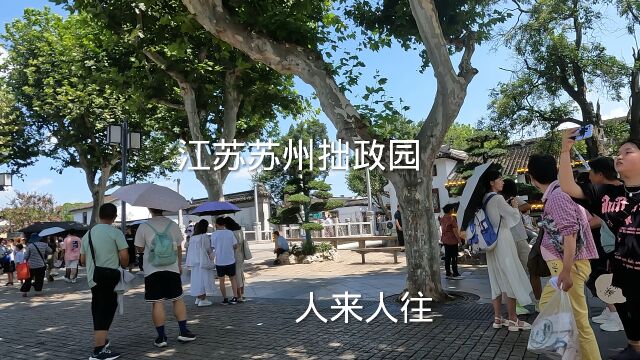 上午10点:江苏苏州拙政园现场状况,人山人海