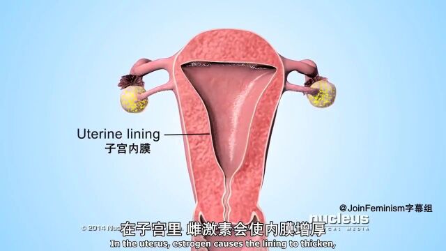 你不可不知的受孕过程及避孕科普