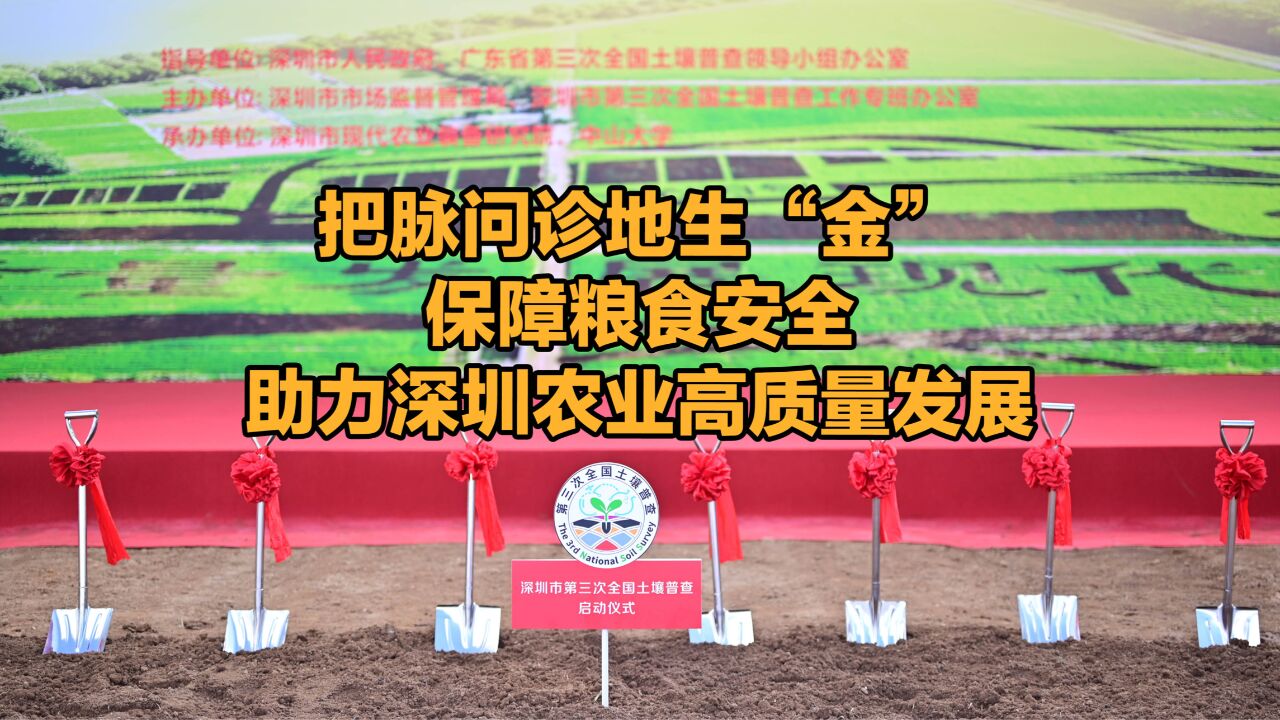 晶报说丨把脉问诊地生“金”,保障粮食安全,助力深圳农业高质量发展