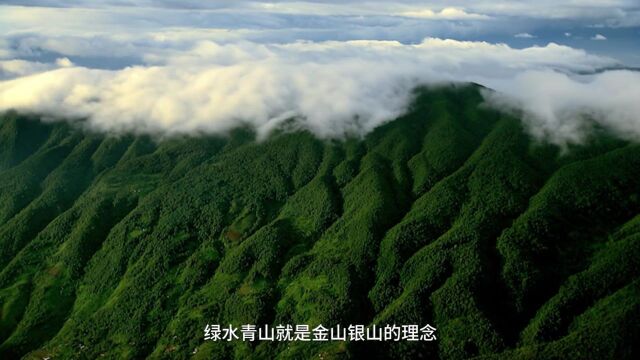 全国生态日 | 绿水青山就是金山银山