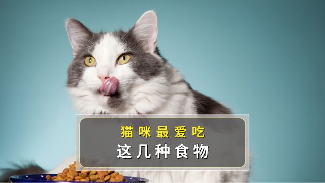 猫咪最爱吃的几种食物,你吃过几种?