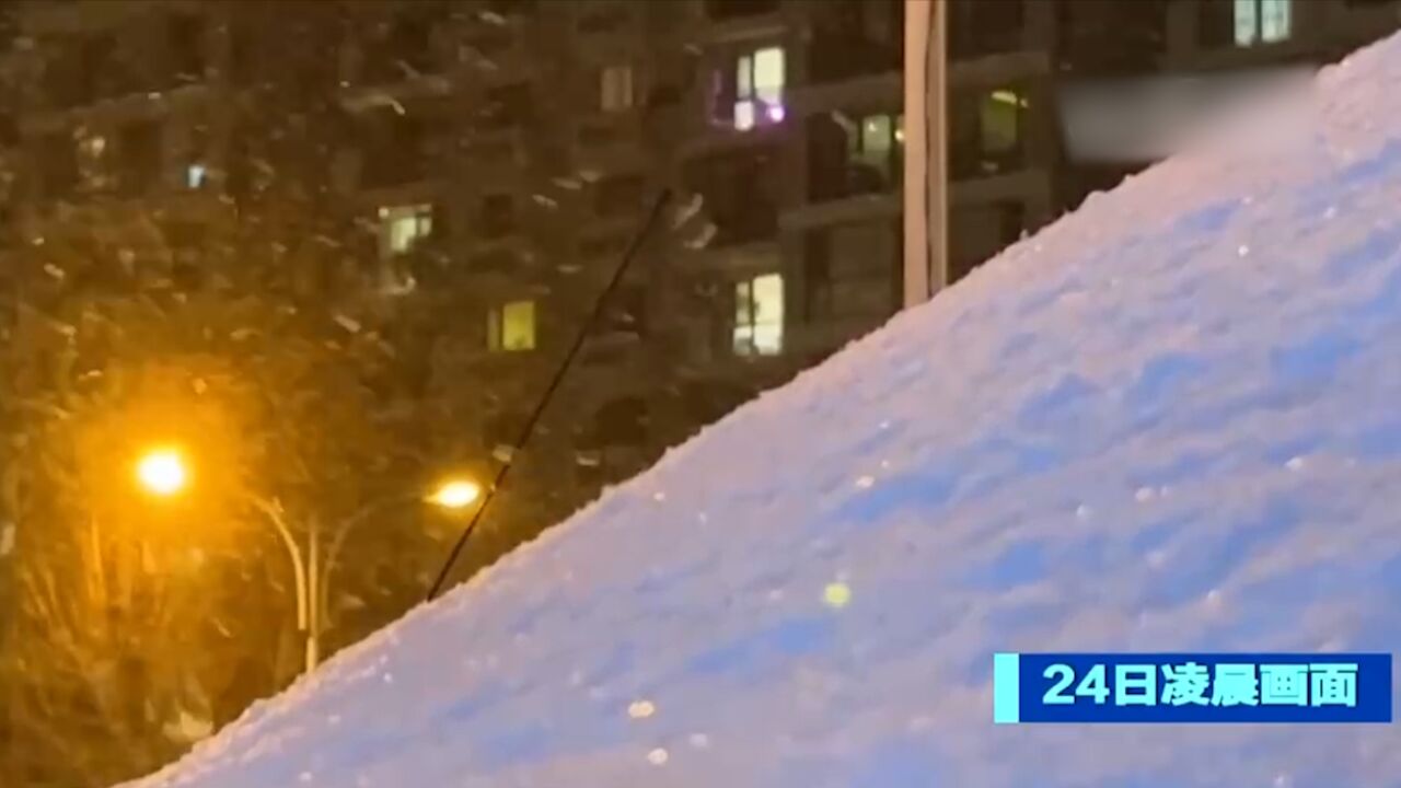 辽宁:出现寒潮降雪天气,做好交通供暖等保障工作