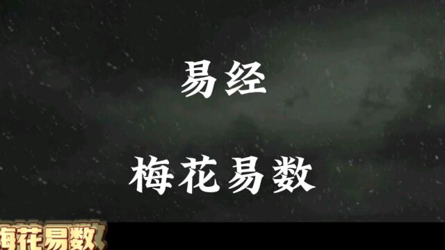 易经深奥梅花易经也甚是玄未解字谜从古至今经久不衰上集