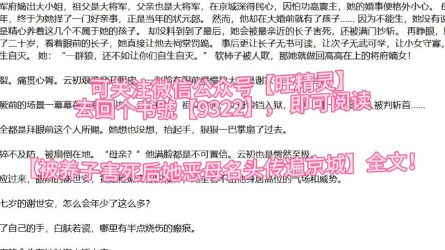 《被养子害死后,她恶母名头传遍京城》云初谢世安全文