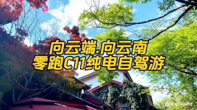 上传论坛的视频