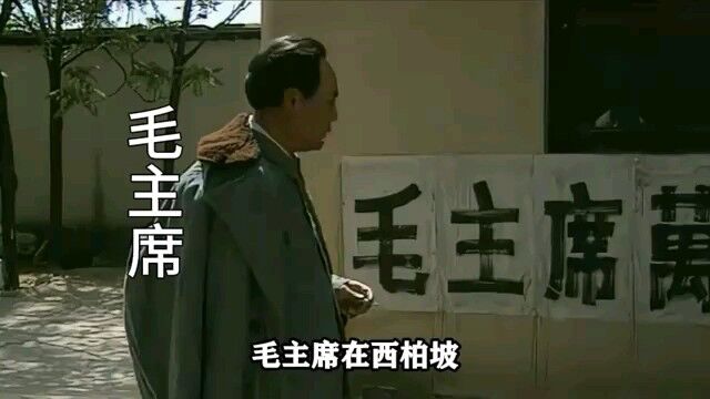 小战士不经意的一句话,却让毛主席脸色大变