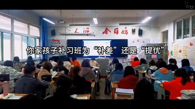 你家孩子补习班为“补差”还是“提优”