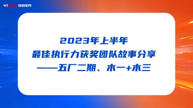 2023年上半年公司级表彰最佳执行力获奖视频