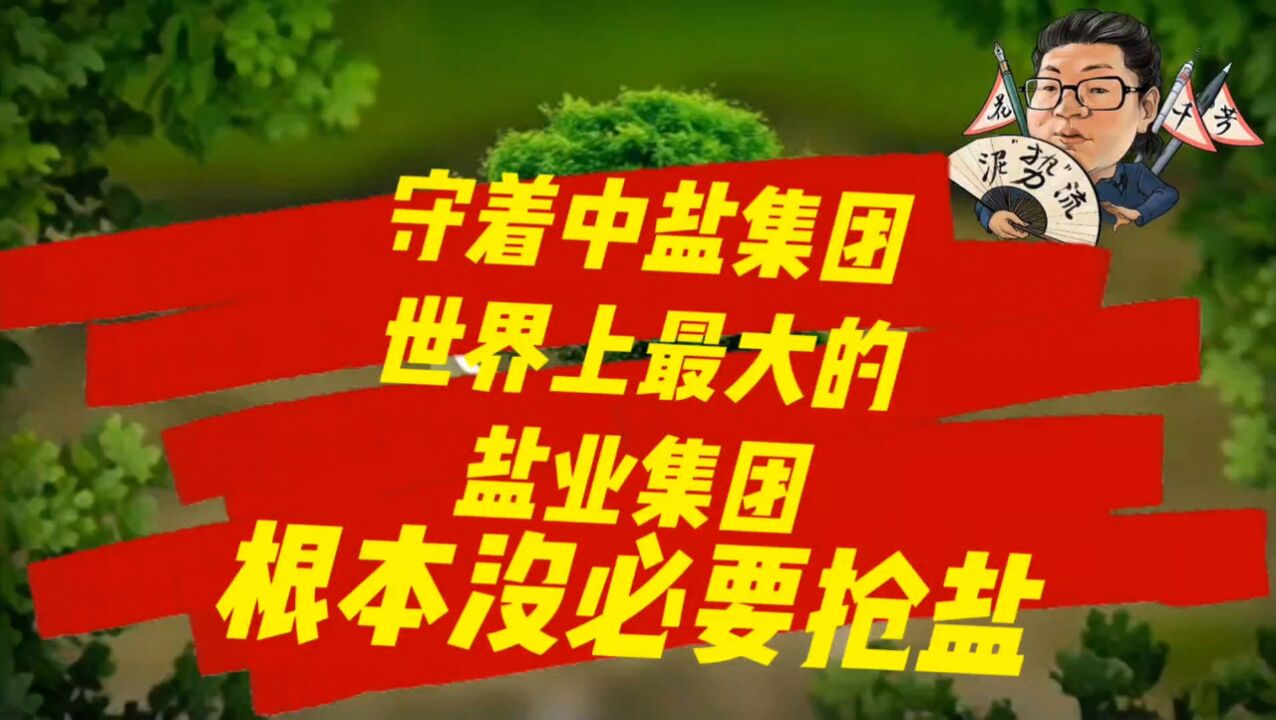 花千芳:守着中盐集团,世界上最大的盐业集团,根本没必要抢盐