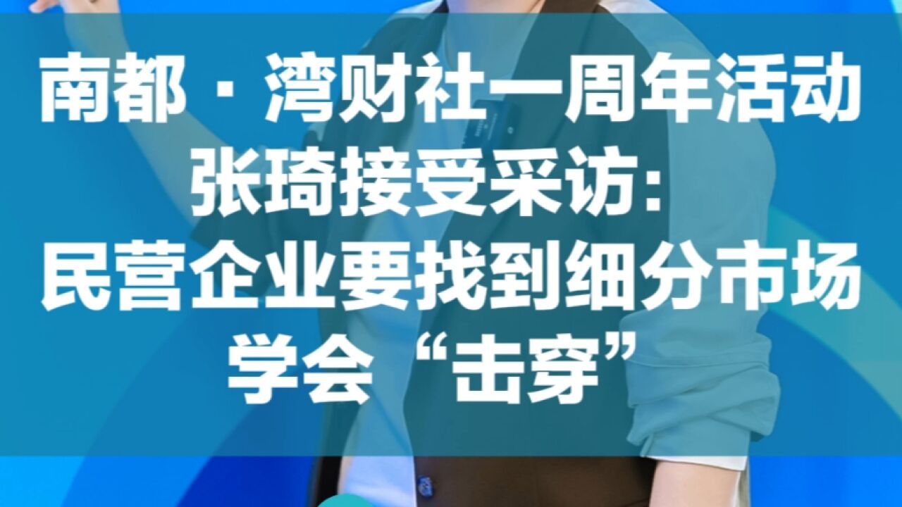 张琦:民营企业要找到细分市场,学会“击穿”