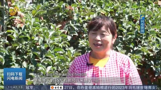 山东建筑大学发挥高校优势,村里有了规划师,闲置土地大变样