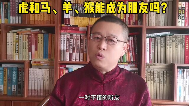 秦华讲解十二生肖,虎和马、羊、猴的人能成为朋友吗?