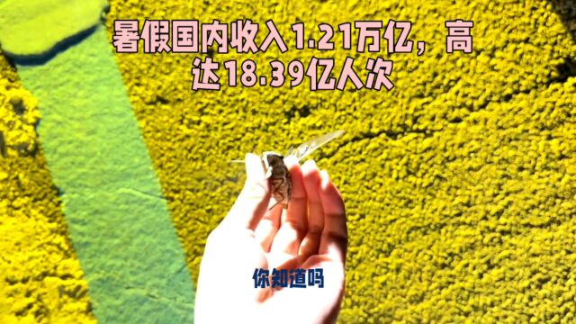 暑假国内旅游收入1.21万亿,高达18.39亿人次