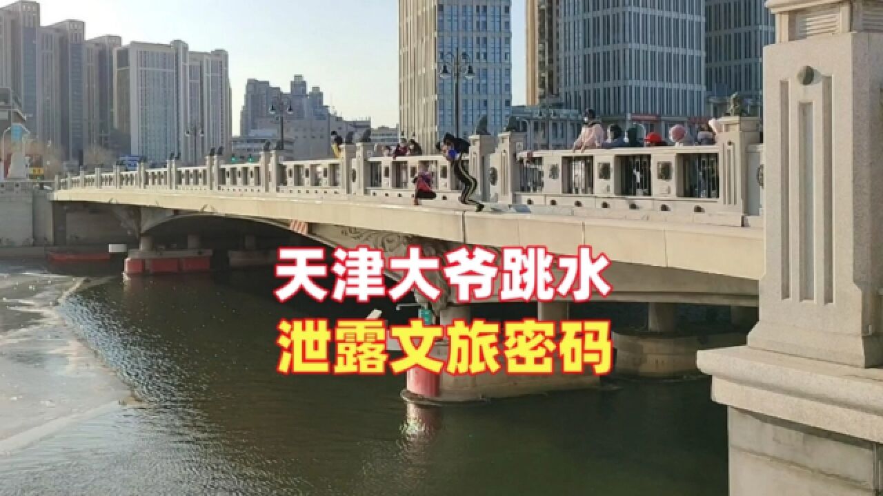 天津大爷跳水 泄露文旅密码