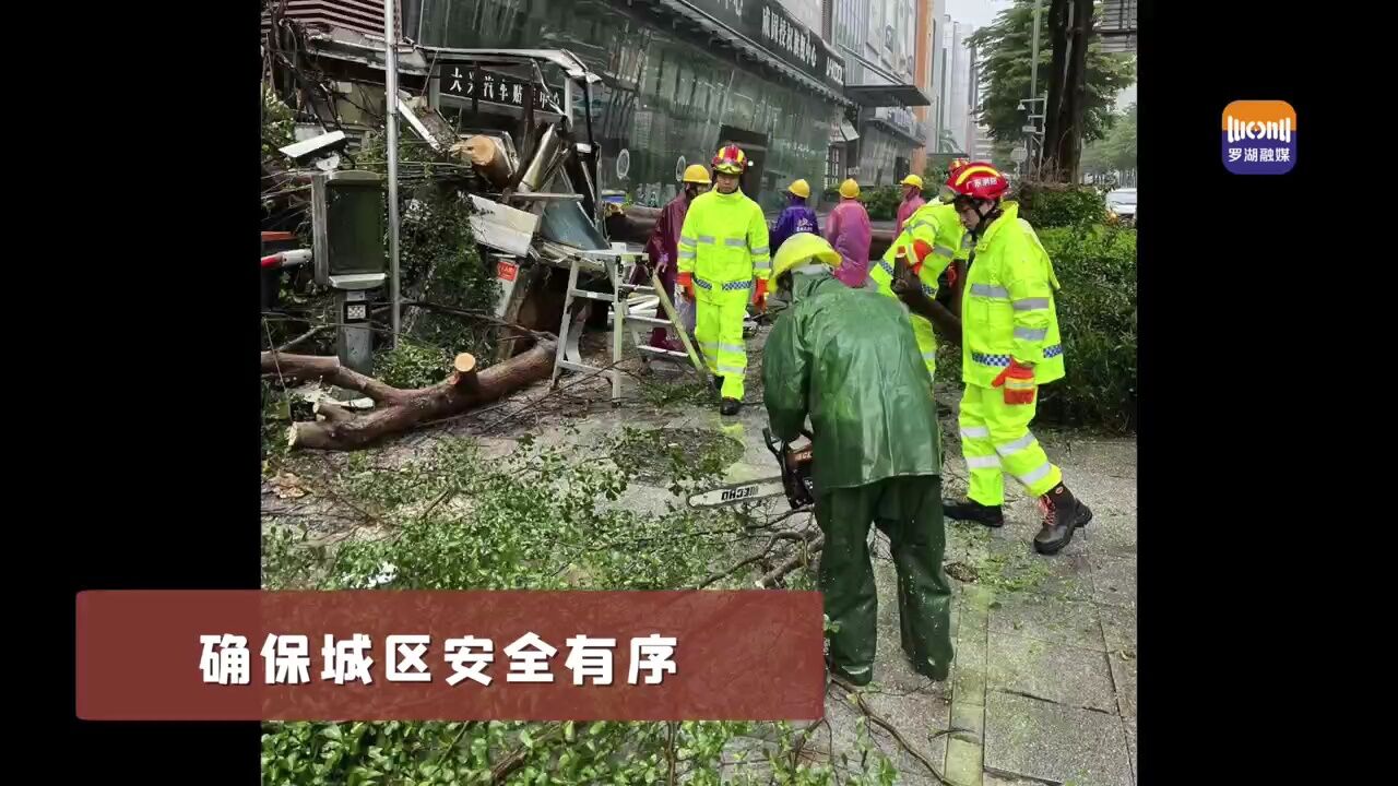 罗湖城区 有序恢复中