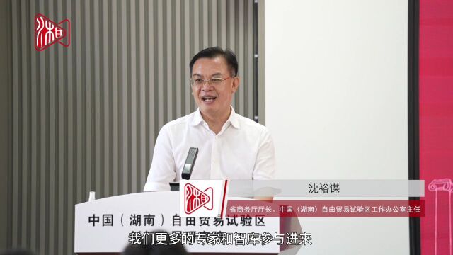 中国(湖南)自由贸易试验区创新发展研究院揭牌