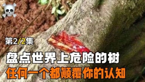 受伤就会血流不止的血木树，不能触碰的沙盒树你都见过嘛？