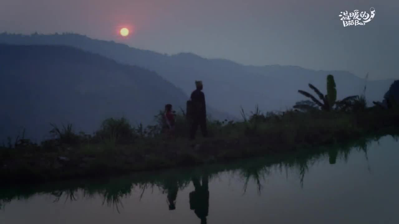 青年范儿ⷦ–‡化场|景迈山古茶林:是世界遗产,更是家园