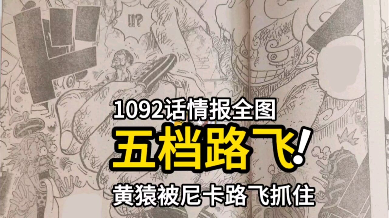 海贼王1092话情报全图:赤犬秒杀暴君熊,黄猿被尼卡路飞抓住了