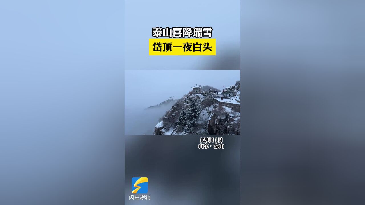 泰山喜降瑞雪 岱顶一夜白头