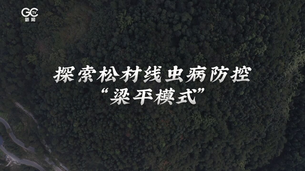 松材线虫病防控5年攻坚行动 重庆梁平:探索松材线虫病防控“梁平模式”