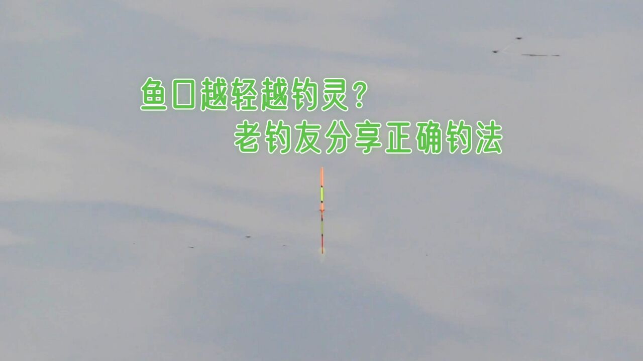 冬季野钓鱼口轻就钓灵?老钓手20年野钓经验分享,轻口鱼正确钓法