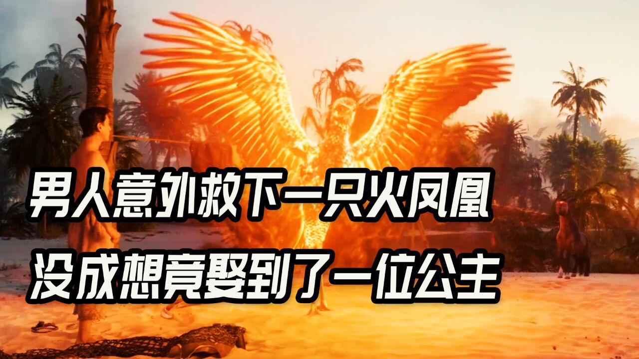 小伙意外救下一只火凤凰,没想到这凤凰,竟然帮他娶了一位公主