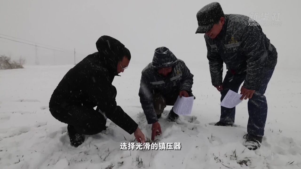 河北:向雪而行 农技专家支“暖招”