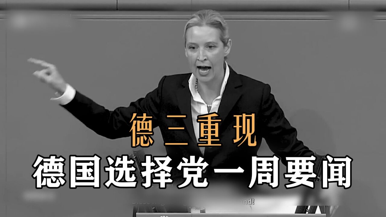 德国选择党一周要闻:支持率下降?德国政党政治生态又将发生变化?