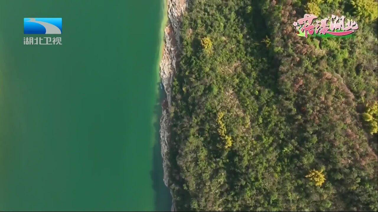 “花漾湖北” 青山披绿 层峦叠翠