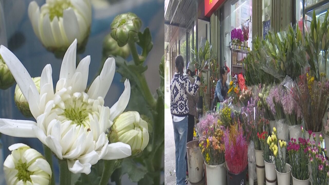 清明流行绿色祭祀 鲜花追思受青睐 菊花成为花店热销品类